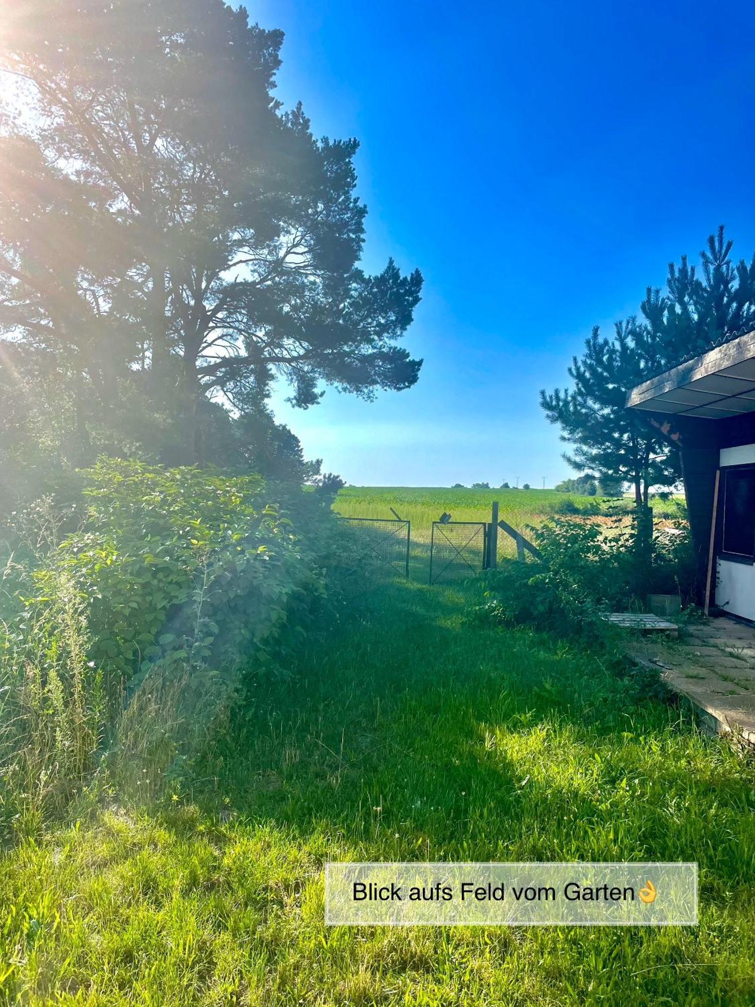 Modernes Ferienhaus Mit 3 Schlafzimmern In Der Naehe Vom Scharmuetzelsee Wendisch Rietz Exterior photo
